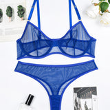 Sheer Mesh Underwear Intimate Erotic Set